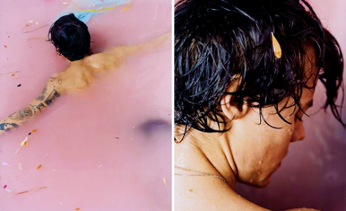 sstyles:Harry Styles, photographed by Harley Weir.