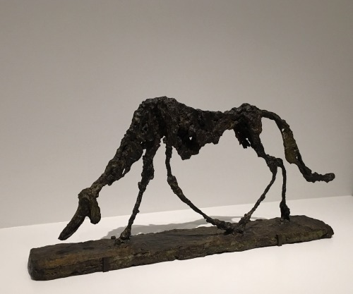  Happy National Dog Day! Alberto Giacometti described his “Dog” (1951) sculpture as a fo