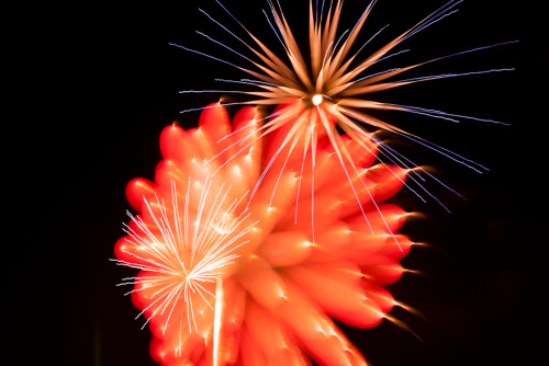 photojojo:  We’ve seen stunning firework photos, but Nick Pacione’s Explosions in the Sky has just taken the crown. To achieve the wild effect, he combined a macro lens with a rack focusing technique, which is essentially changing focus as you shoot!