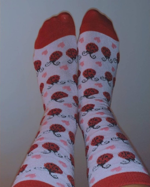 Thanks to the beautiful anon sock model #socks #anklesocks #anklesockfetish #sockfetish #sockgoddess