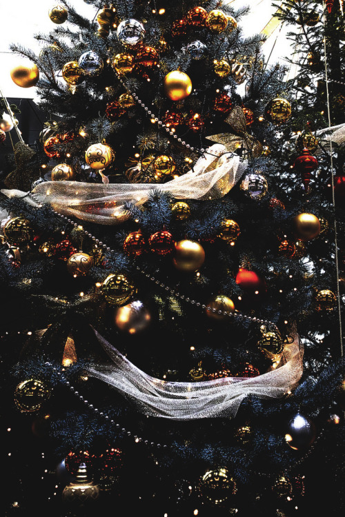 captvinvanity:  clavius | I wish a Merry Christmas for all my Tumblr friends.
