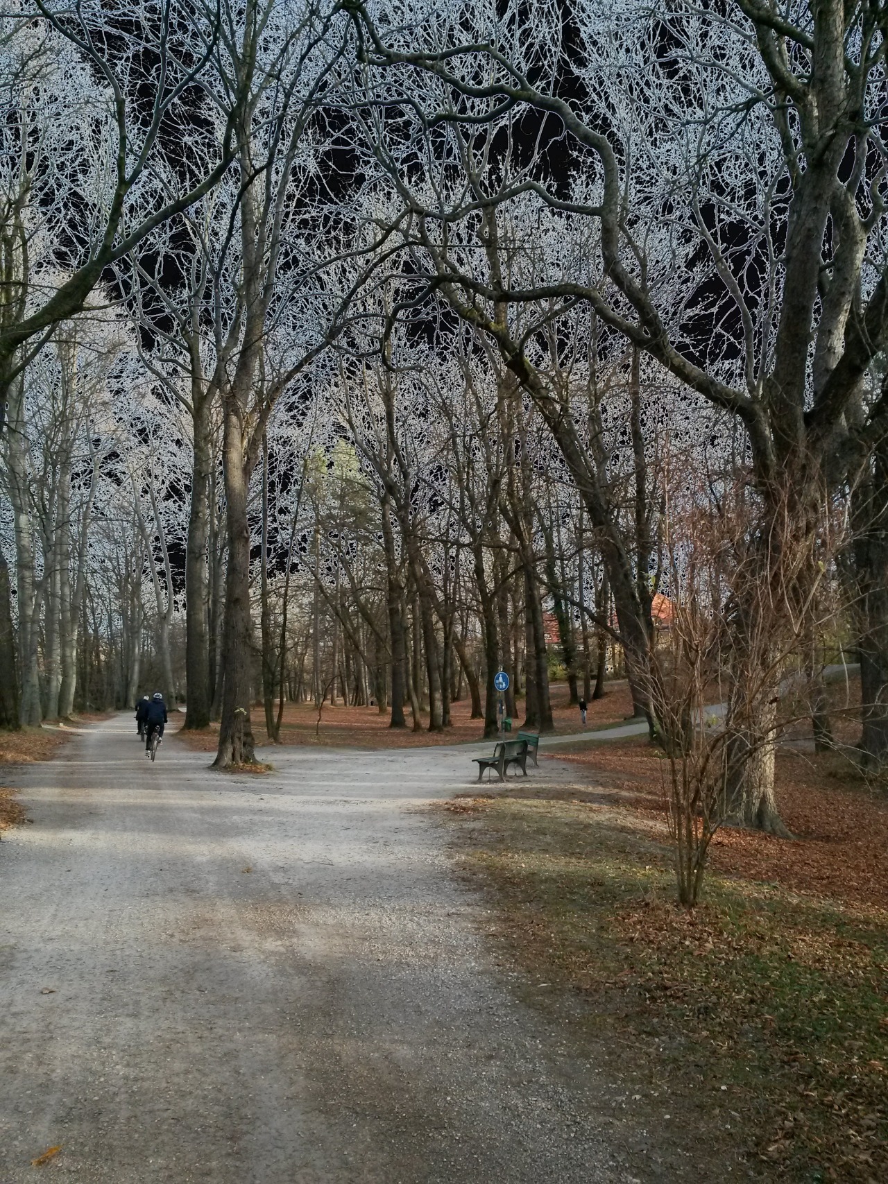 francoisbry:  On my way to work: Right bank of the River Isar in Munich, Germany,