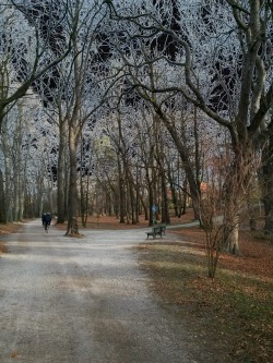 francoisbry:  On my way to work: Right bank of the River Isar in Munich, Germany, 17 November 2015 Licensed under Creative Commons Attribution-NonCommercial-NoDerivs 3.0 Germany (CC BY-NC-ND 3.0 DE) 