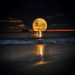 cravehiminallways212:  To the moon and back,