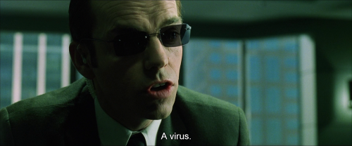 celluloidtoharddrives:  Agent Smith (Hugo Weaving) The Matrix (1999) Written and Directed by Andy and Lana Wachowski  Actually, every mammal - every animal in fact - does that, given the chance. That’s one reason why species go extinct when a new
