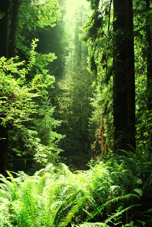 teamalpine:  …green