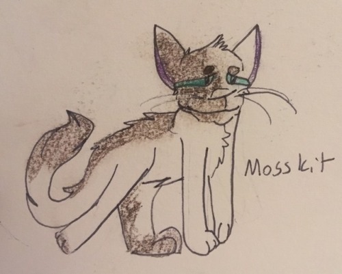 4. Mosskit