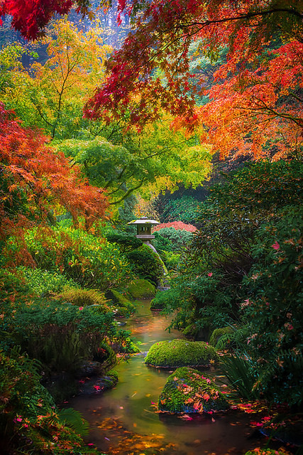 oculi-ds:  Autumn Serenity In Portland Japanese Gardens by kevin mcneal on Flickr.