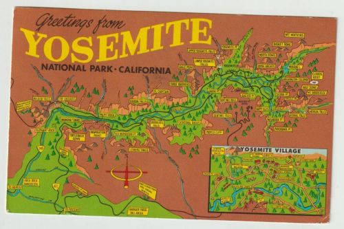 vintagecamping:Greetings From Yosemite National Park!Postcard 1964