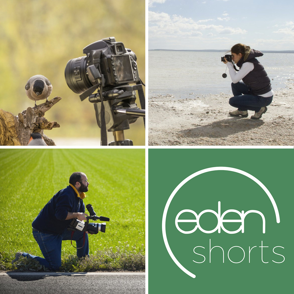 Eden Channel