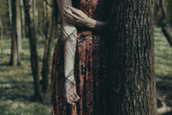 Within Me Grows A Tree, The Branches Closely Hug My Veins By Anna O. Photography