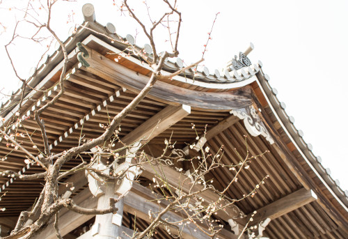 Kamakura 