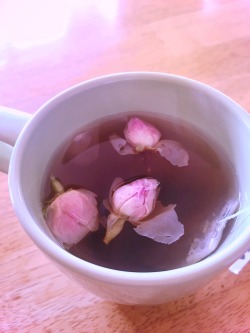 sx4aesthetic:  green tea &amp; rose buds 
