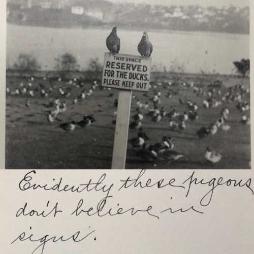 From the scrapbook of Louise Hall, Mac Class of 1920. #heymac #NotDucks www.instagram.com/p/