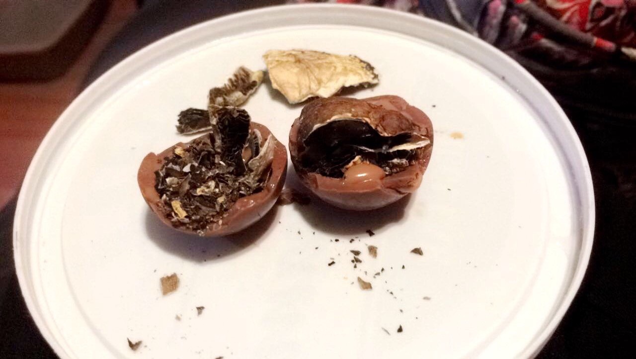 just a girl. — Possibly the best way to eat shrooms..