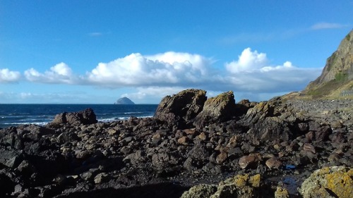 geologyedinburgh:Geology field trip to the South-West of Scotland near Ballantrae. We looked at the 