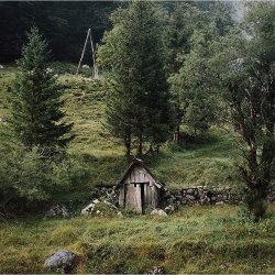 folklifestyle:  European morning vibes. Slovenia. Photo by @eluch. #liveauthentic #livefolk @folkmagazine