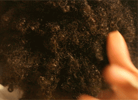 cocoanutoils: iridessence:a natural hair gif! KANYEEZY