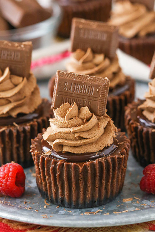 daily-deliciousness:Mini chocolate cheesecakes