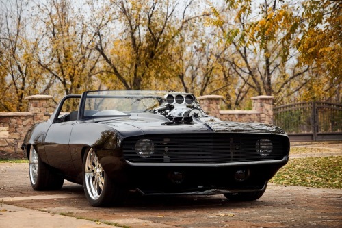 musclecarsfans:  Follow For Muscle Cars Everyday