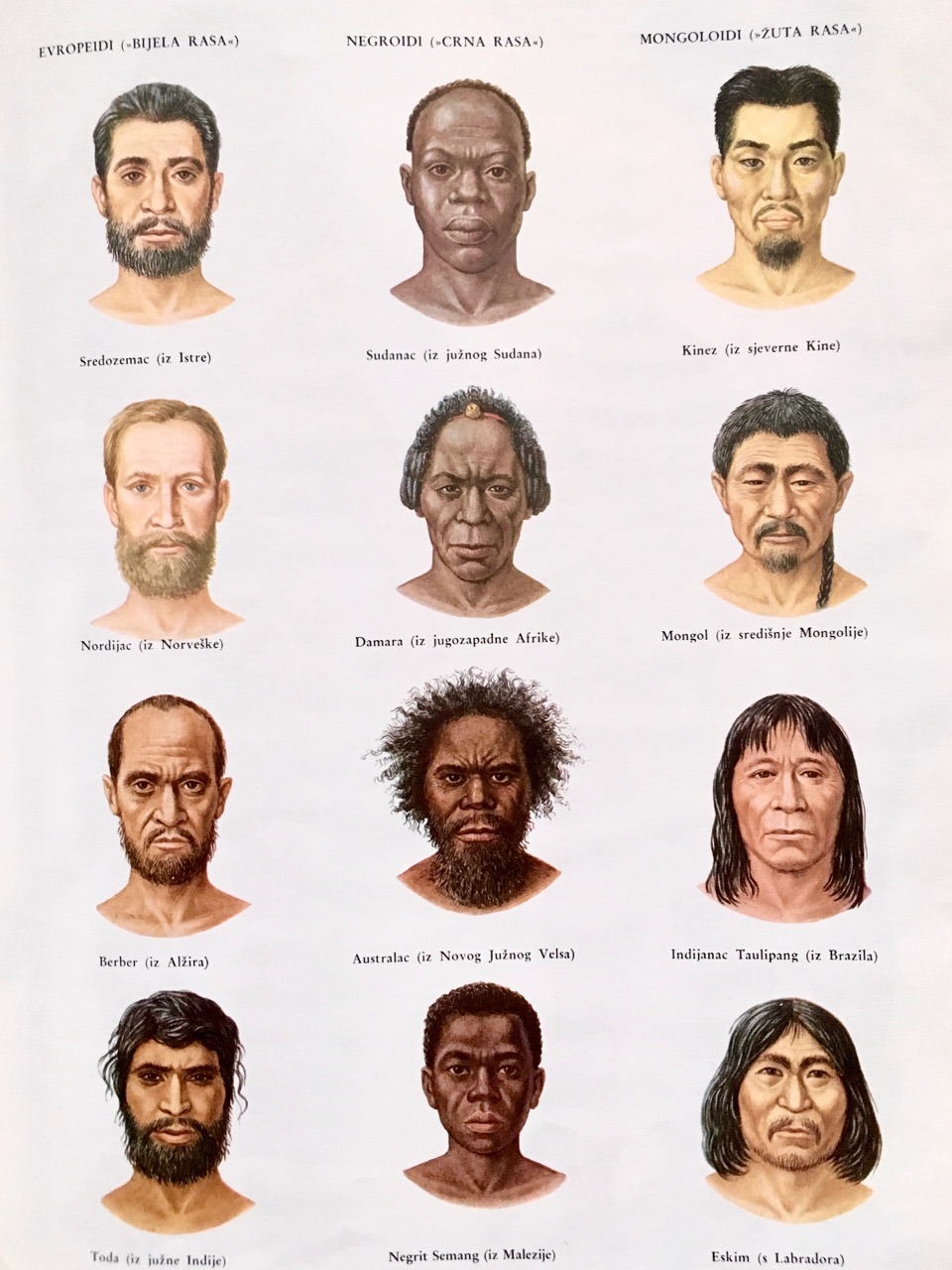 Lavandin. — Main types of human races 