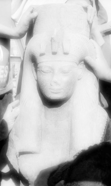 spiritsdancinginthenight: Great Royal Wife Tiye of Egypt, c. 1398 B.C. – 1338 B.C.“The place of Que