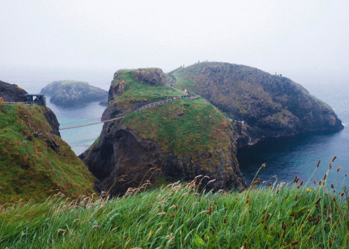 allthingseurope:Carrickarede Bridge, Northern Ireland (by Alesha Brown)