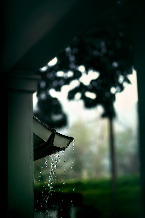 thepictorialist:Rainy day in paradise—Maui, Hawaii 2013