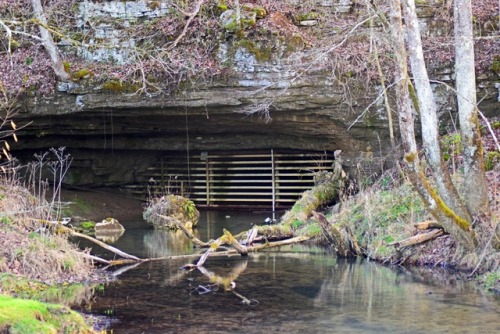 A sealed cave opening along Wolf Creek in Tennessee.