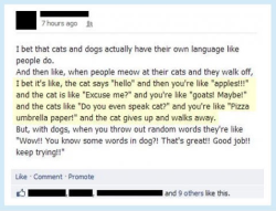 lightsabersandhorcruxes:  guceubcuesu:  So…the cats are like the French  ^^^^Because of this comment. 