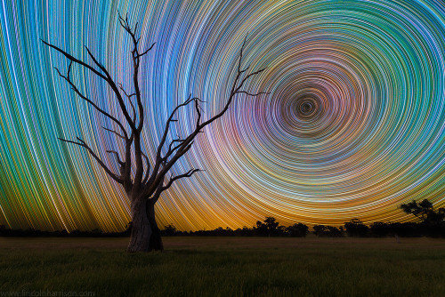 650 40-second exposures of star trails make for a dizzying sky&hellip; by Lincoln Harrison