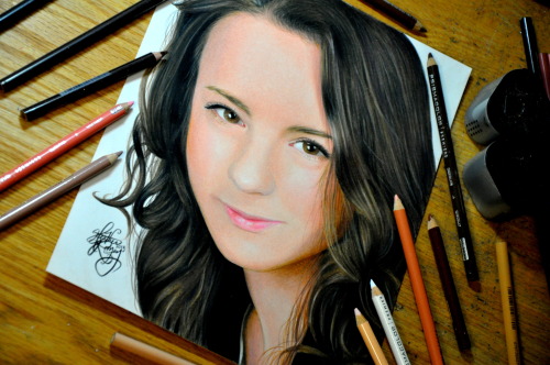 Heather Rooney Art — Caran d'Ache Luminance colored pencils