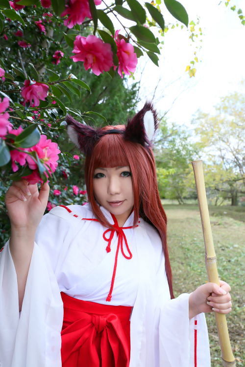 Cute Cosplay GIrl Higurashi Rin (Kitsune-Chan 3) 1-4