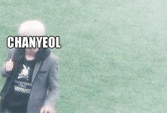 fuckhaja:  the basics of what happened today (orig. gif) 