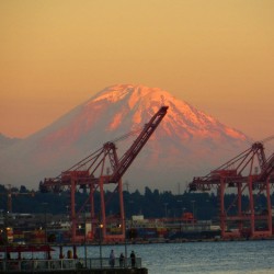 autumnredfox:  #mtrainier #mountain #seattle