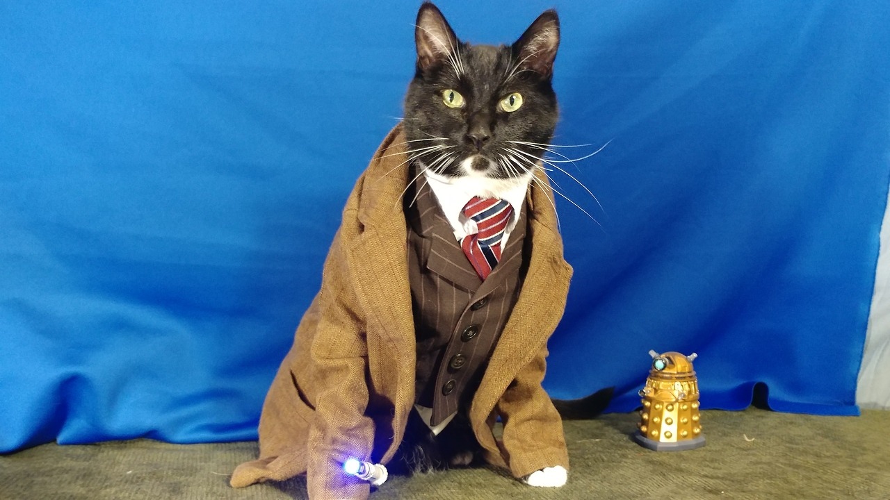 cat-cosplay:“Now, first things first. Be honest. How do I look?” ~ The 10th Doct'purr