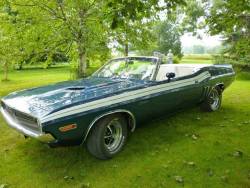 jacdurac:  Rick’s R/T 1971 Dodge Challenger