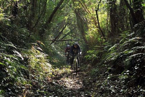 rinproject: うひょー、その② 『たまに日が射す』 #rinproject #bicycle #cycle #biketouring #tourism #randonneur #旅 #旅行