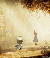 zireza:  🍂 A u t u m n : A New Beginning 🍂 “Steam rising underneath a canopy