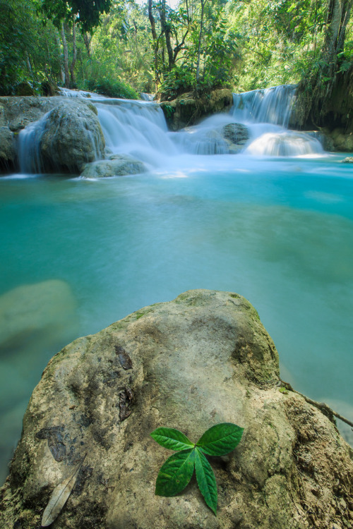 intothegreatunknown:  Luang Prabang | Laos (by Chye Guan, Tan)
