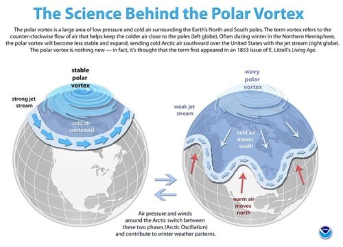 startswithabang:This Is Why Global Warming Is Responsible For Freezing Temperatures Across The USA“A