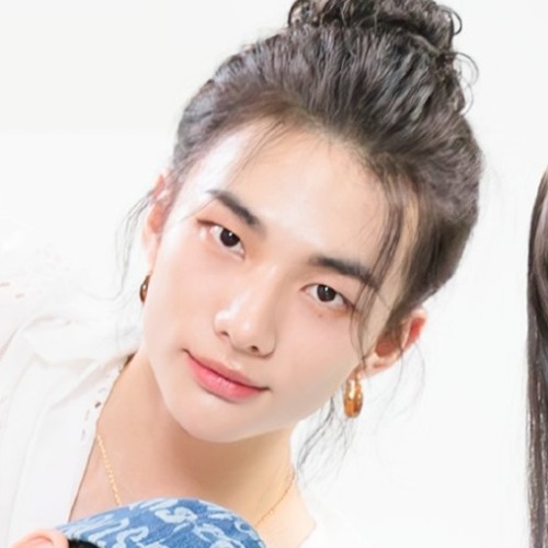 Stray Kids Matching Icons/metadinhas.