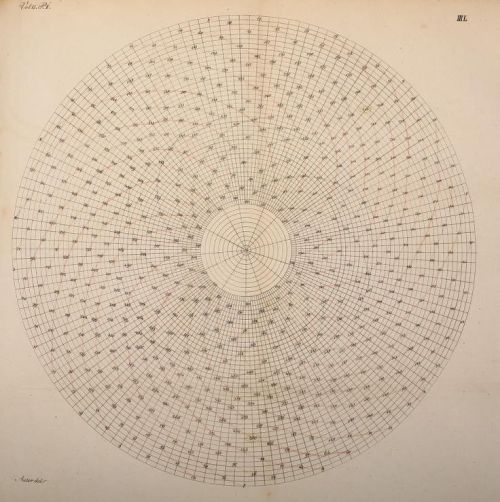 nemfrog:Plate 47.  Pine cone schematic drawing. _Nova acta physico-medica, Vol. 15_ 1831