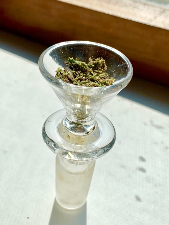 stonermikus: Bowl of some good greens 💨🌲 -𝒮𝓉𝒶𝓎 𝐻𝒾𝑔𝒽 & 𝒦𝑒𝑒𝓅 𝒯𝒽𝑒 𝒢𝑜𝑜𝒹 𝒱𝒾𝒷𝑒𝓈 𝒰𝓅- 