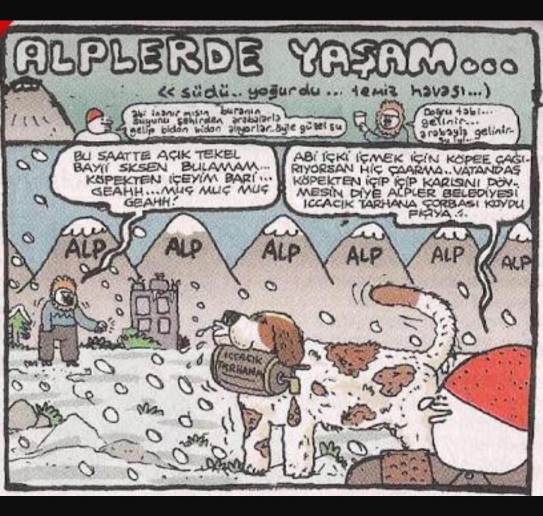 ALPLERDE YAŞAM

...