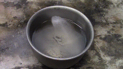 gif87a-com - Liquid nitrogen in a bowl of gasoline