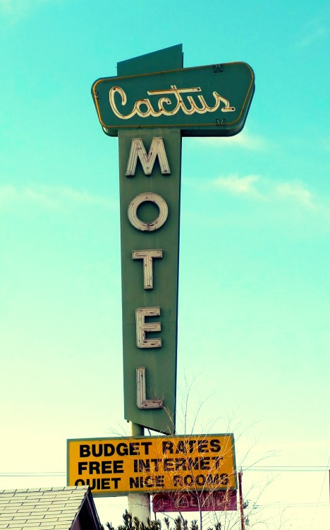 cactus motel