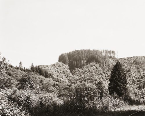 Clearcut Next to the Nehalem River, Tillamook County, Oregon, Robert Adams, 1977-78