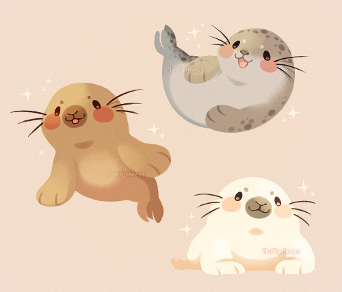 fluffysheeps:A group of sea loaves!! ᶘ ᵒᴥᵒᶅ 