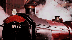 Harry Potter Daily